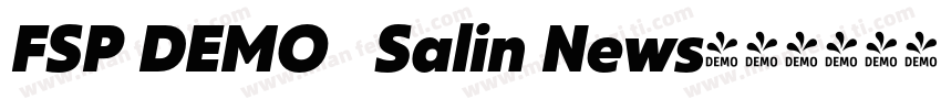 FSP DEMO   Salin News字体转换